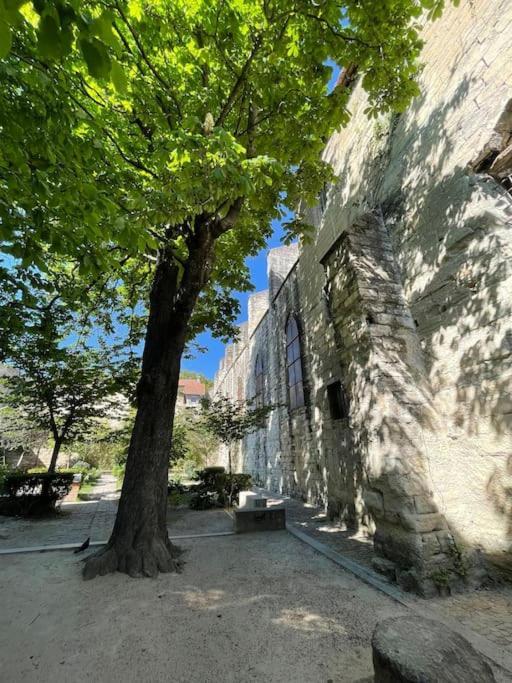 Charmant Studio, Centre Historique, Carmes Awinion Zewnętrze zdjęcie