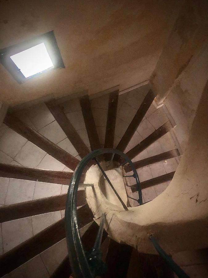 Charmant Studio, Centre Historique, Carmes Awinion Zewnętrze zdjęcie